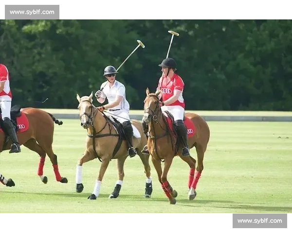 印度亿万富翁马球赛中吞蜂猝死 罕见过敏反应夺命